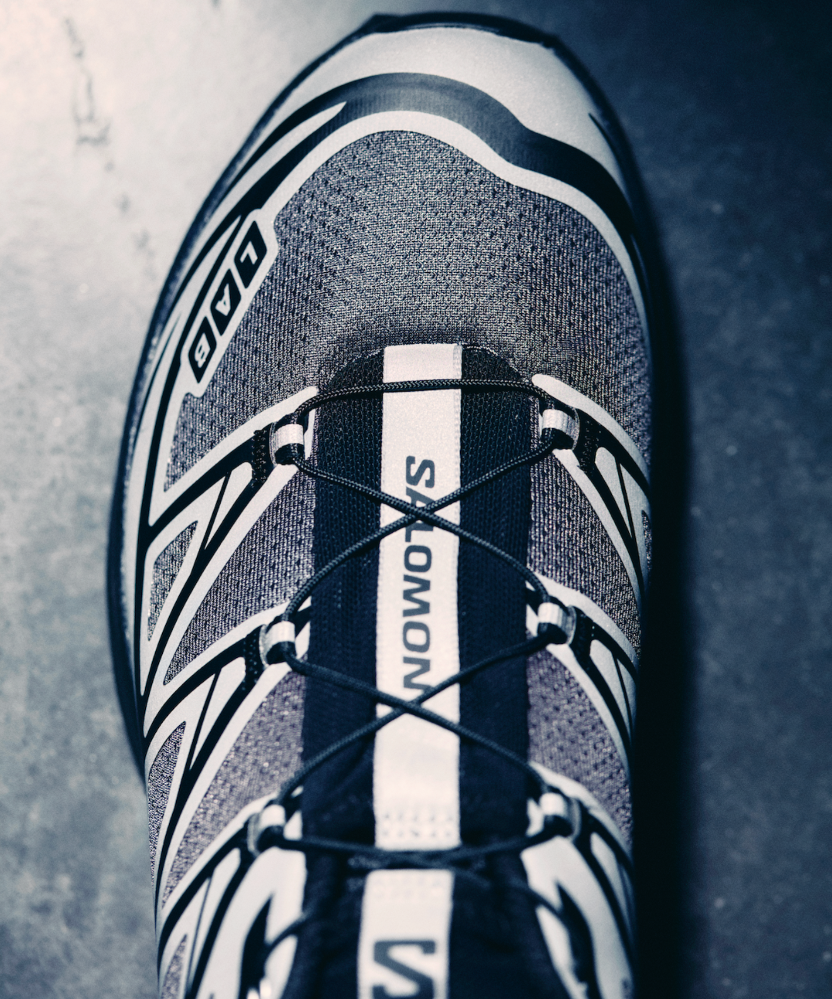 XT-6 NOCTURNE VISION - Image 2