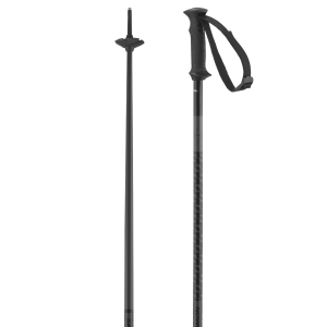 POLAR ACCESS SKI POLES