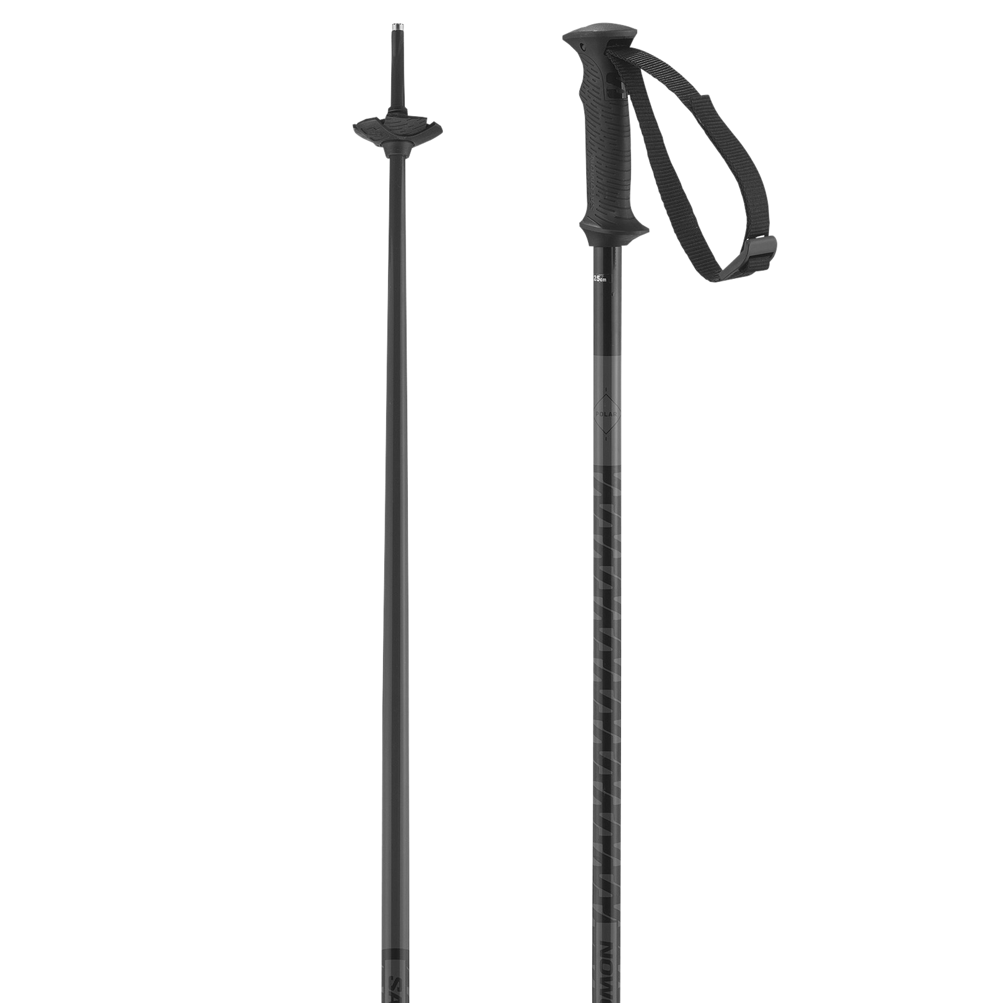 POLAR ACCESS SKI POLES