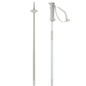 POLAR ACCESS SKI POLES