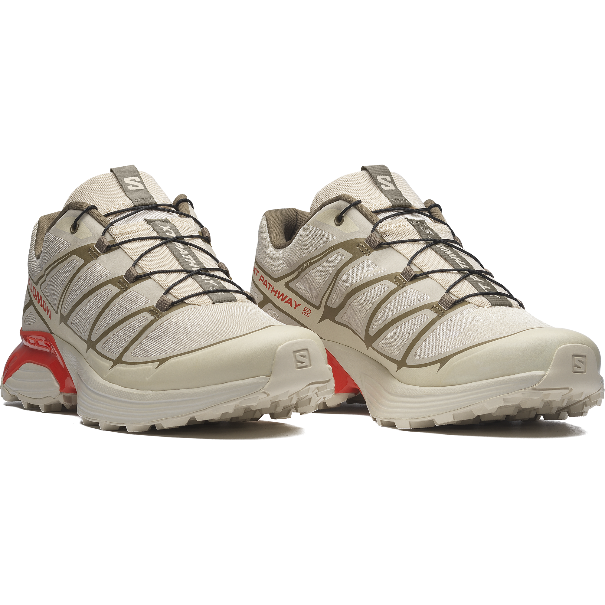 XT-PATHWAY 2 - Image 2