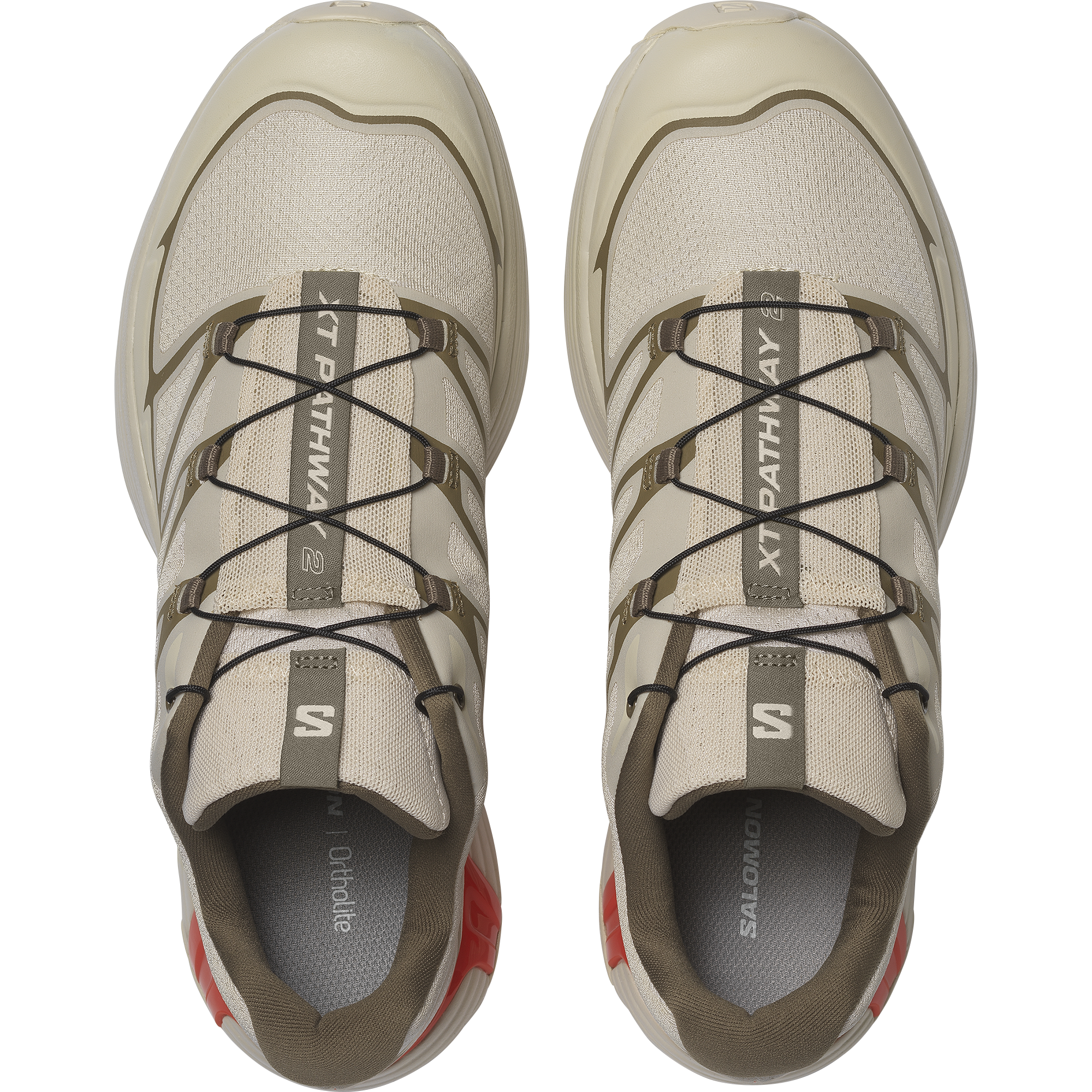 XT-PATHWAY 2 - Image 3