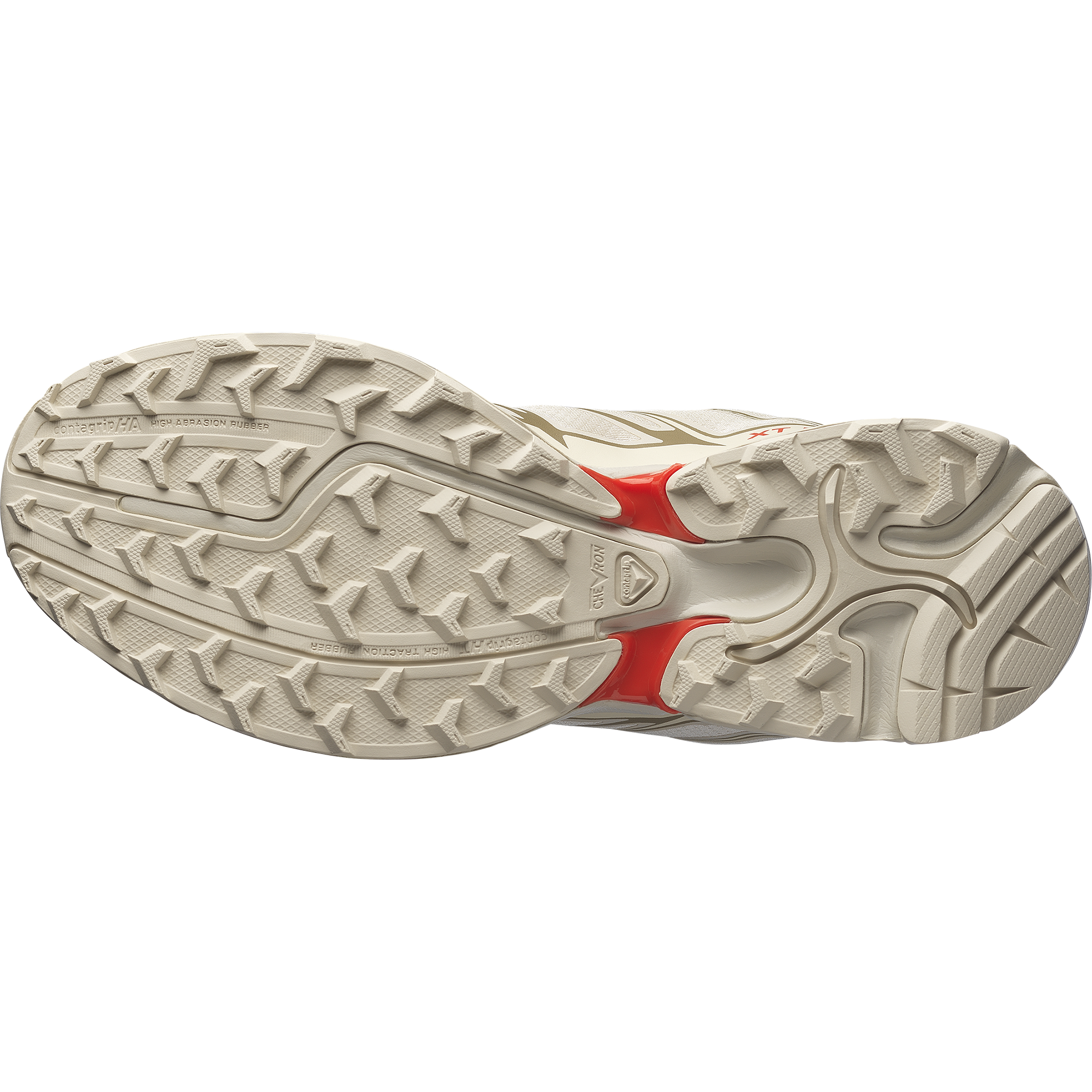 XT-PATHWAY 2 - Image 4