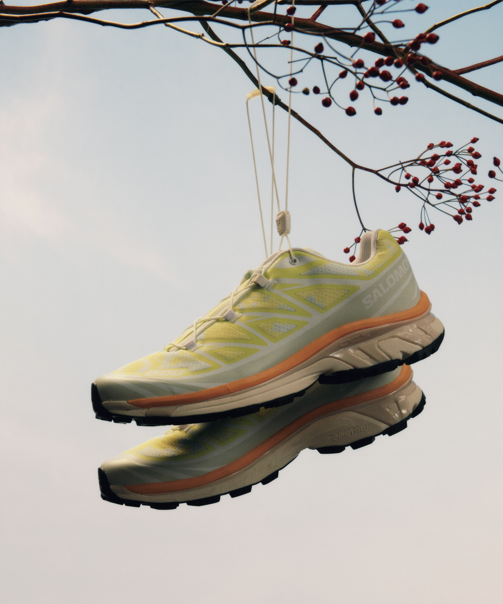 XT-6 ALPEN BLOSSOM - Image 2