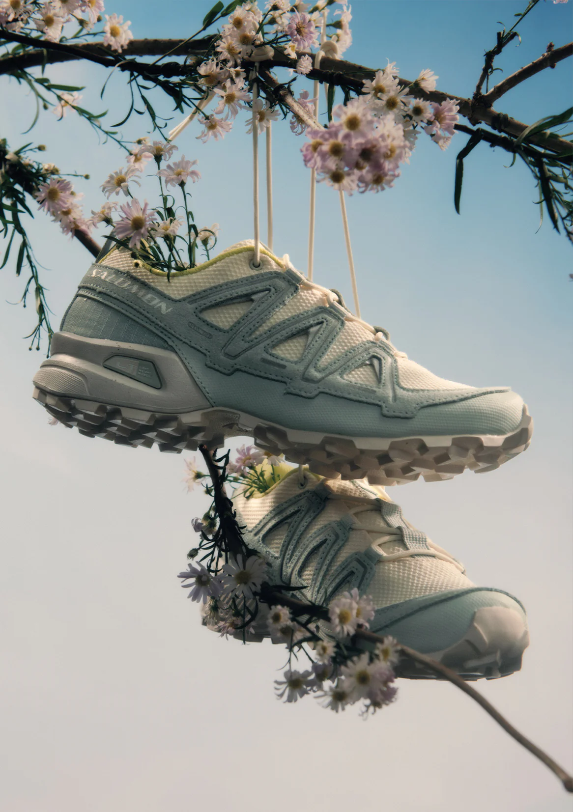 Alpen blossom capsule